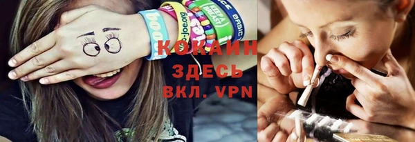 сатива Бородино