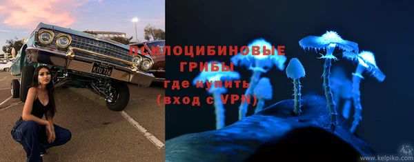 сатива Бородино