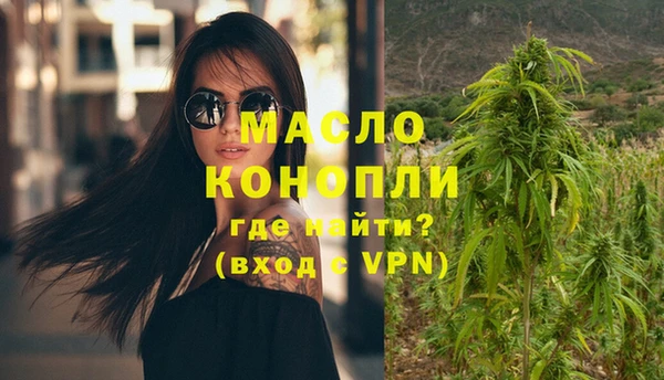 сатива Бородино