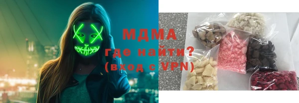 сатива Бородино