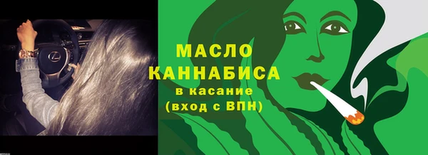 сатива Бородино