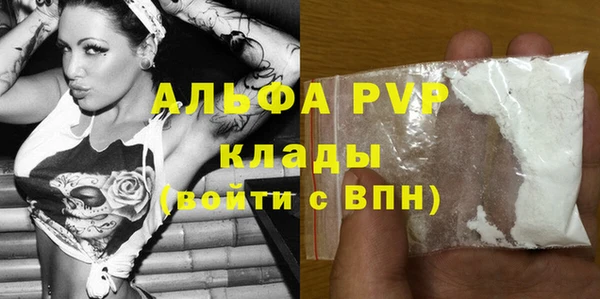 сатива Бородино