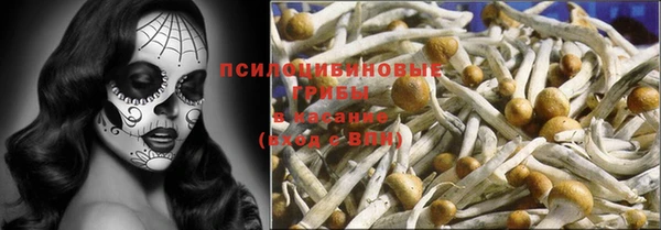 сатива Бородино